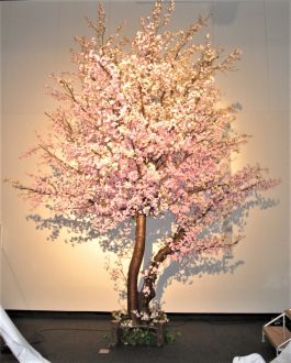 桜1.jpg